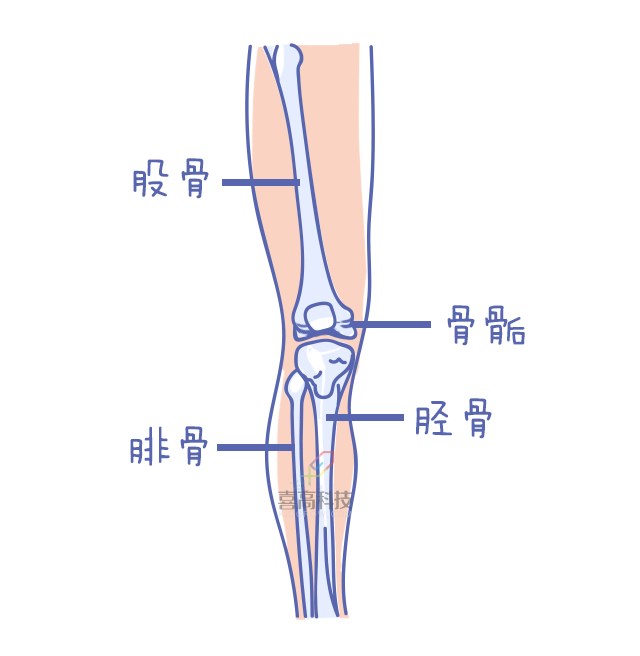 重啟骨骺線~你看起來很誘人！_10.png