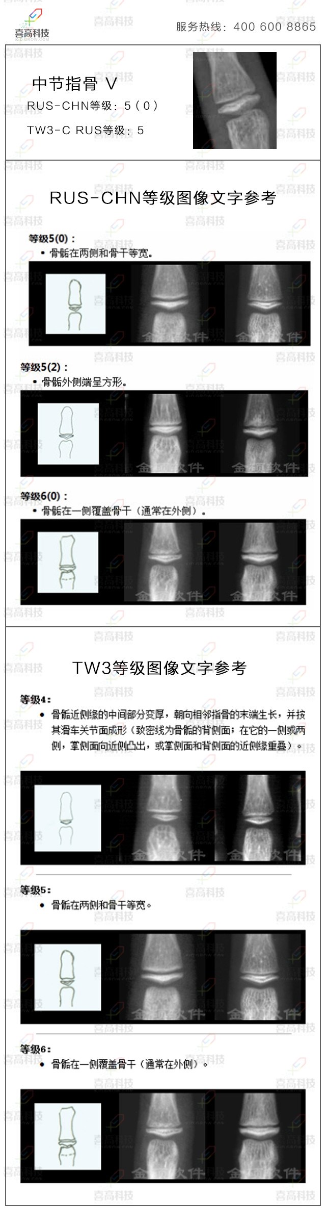 16-zhongwu.jpg