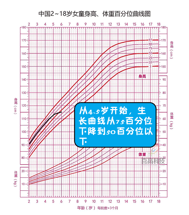 插圖20190131_10.gif