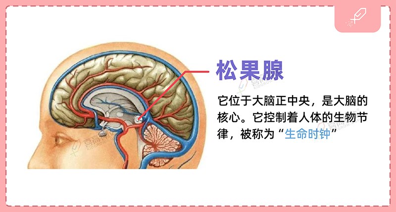 1_畫板 1 副本-1.jpg